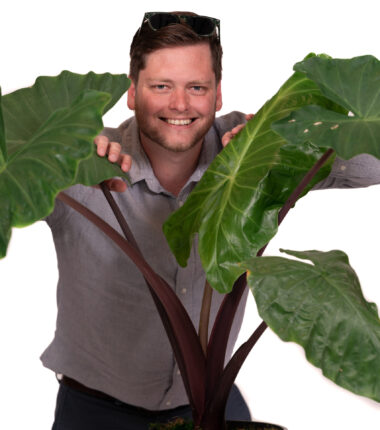 Tyler Campbell peeking from behind a plant