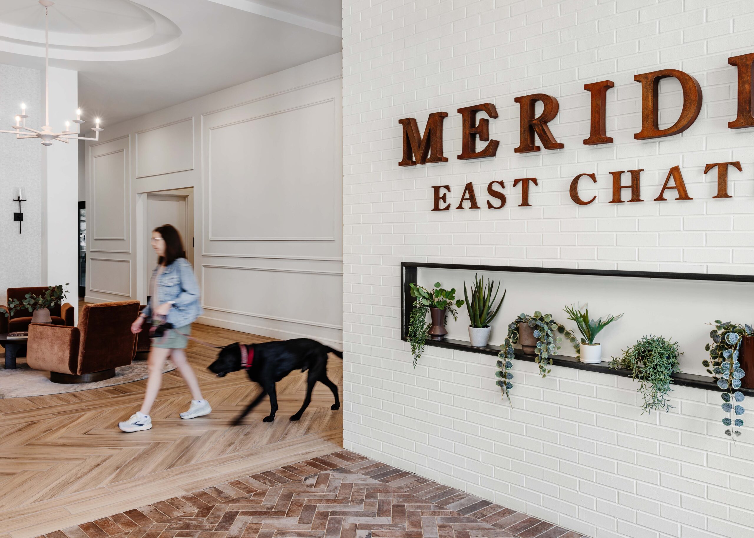 Meridian interior arrival experience